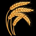 Grains