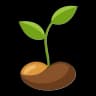 Seeds & Nuts
